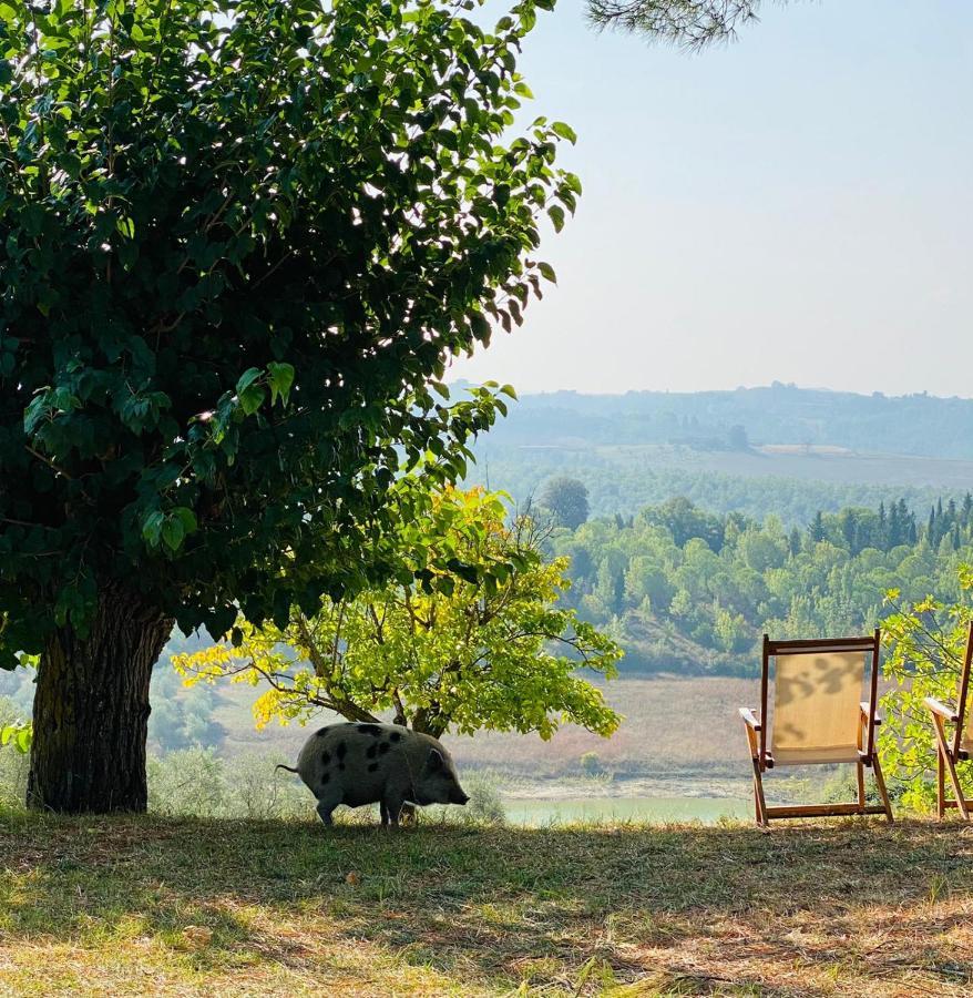 Agriturismo Sole Villa Trequanda Exteriör bild