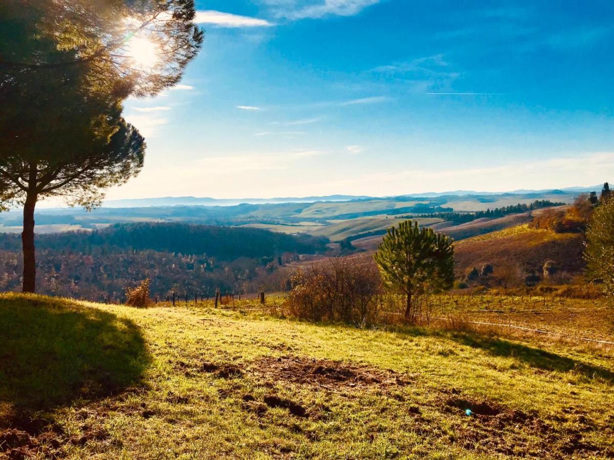 Agriturismo Sole Villa Trequanda Exteriör bild