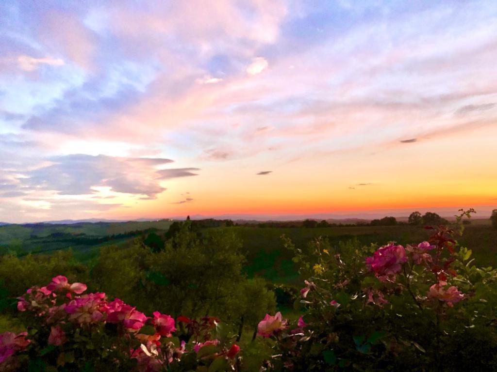 Agriturismo Sole Villa Trequanda Exteriör bild